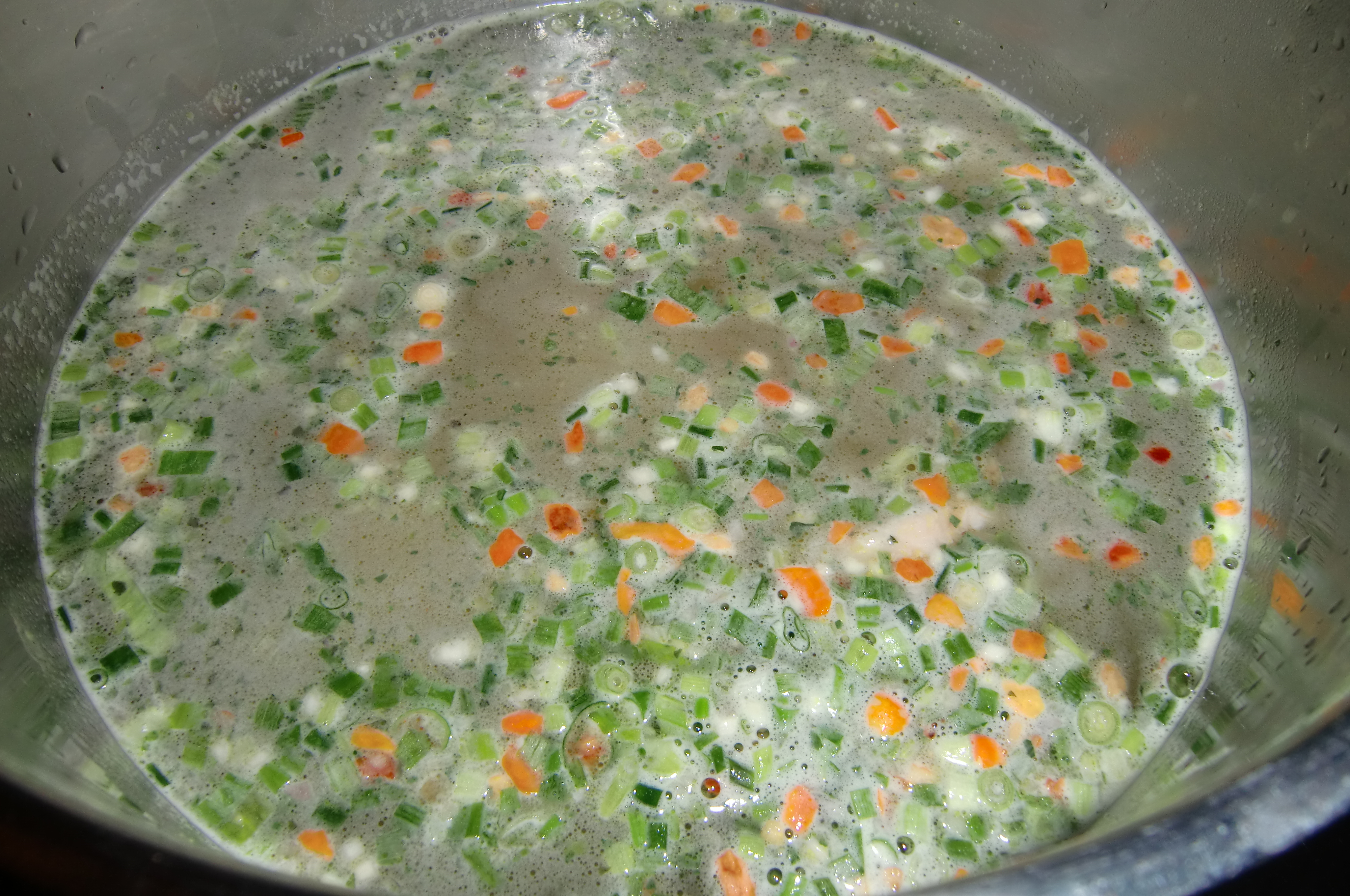 Asiatische Suppe mit Gemse und Nudeln (11)