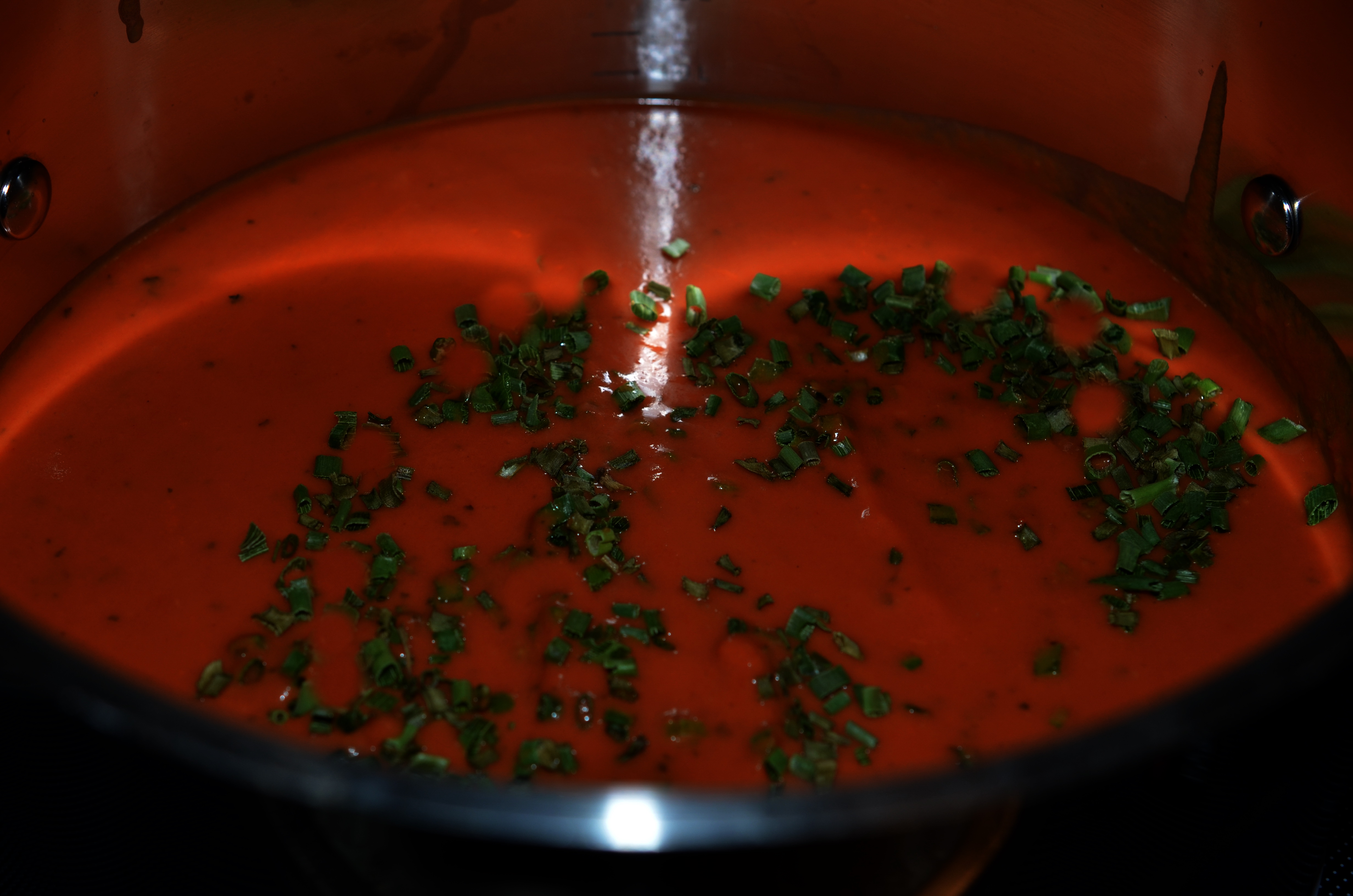 Frische Tomatensuppe (5)