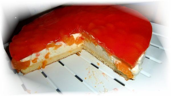 Quark-Sahne-Torte mit Biskuitboden mit Mandarinen (11)