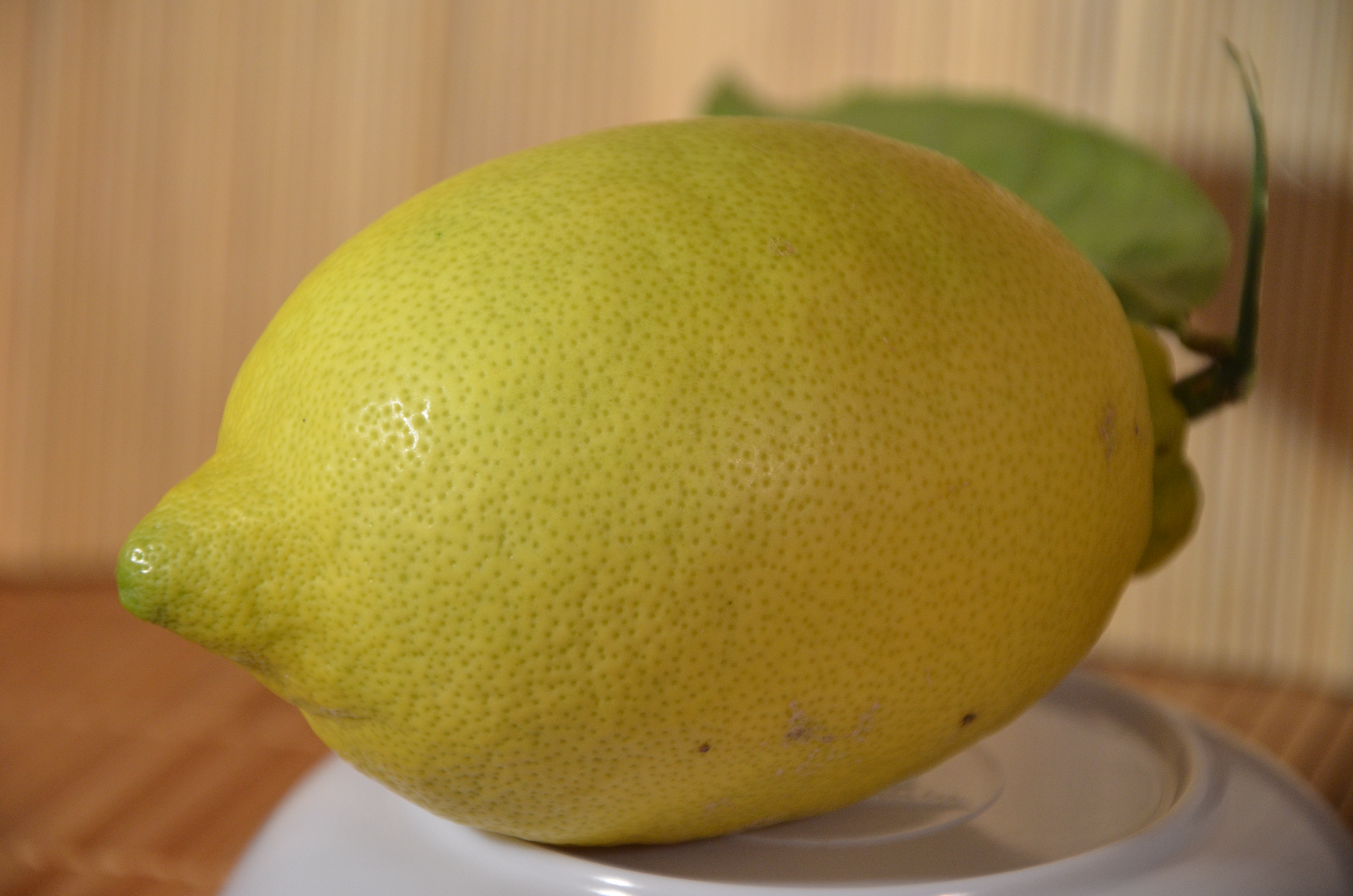 Zitronen (4)